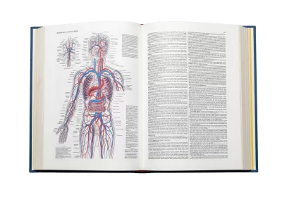 Imagen PNG para descargar